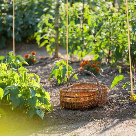 Relaxdays Tiges En Bambou 150 Cm, En Bambou Naturel, Bâtons En Bambou Comme Tuteur Ou Décoration, Pour Bricoler, Couleur 5 Relaxdays Tiges En Bambou 150 Cm, En Bambou Naturel, Bâtons En Bambou Comme Tuteur Ou Décoration, Pour Bricoler, Couleur – Image 3