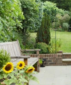 Relaxdays Treillis Jardin Fer Set De 2 Clôture Plante Grimpante Grille Fleurs Arceau Rosier 180 X 50 Cm C, Vert Foncé -Accessoire de culture Soldes Boutique 31796061 3