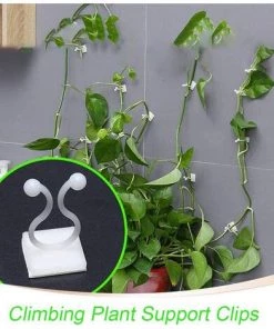 Kueatily 100 Pieces Clips De Support Pour Plantes Grimpantes, Crochet Auto Adhésif Plante, Plante Grimpant Fixations Murales, Pour Jardin Vignes, Bureau Cable De Fixation 11 Kueatily 100 Pieces Clips De Support Pour Plantes Grimpantes, Crochet Auto Adhésif Plante, Plante Grimpant Fixations Murales, Pour Jardin Vignes, Bureau Cable De Fixation -Accessoire de culture Soldes Boutique 32348594 5