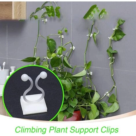 Kueatily 100 Pieces Clips De Support Pour Plantes Grimpantes, Crochet Auto Adhésif Plante, Plante Grimpant Fixations Murales, Pour Jardin Vignes, Bureau Cable De Fixation 7 Kueatily 100 Pieces Clips De Support Pour Plantes Grimpantes, Crochet Auto Adhésif Plante, Plante Grimpant Fixations Murales, Pour Jardin Vignes, Bureau Cable De Fixation – Image 5
