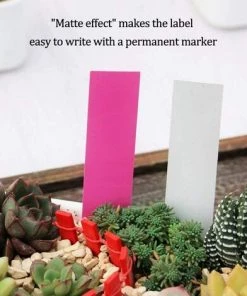 LangRay 500 Pcs Étiquettes De Graine De Fleur De Plante En Plastique Imperméable Réutilisable En Plastique Marquent Des Étiquettes De Jardin Outils De Décoration, Colorées 10 LangRay 500 Pcs Étiquettes De Graine De Fleur De Plante En Plastique Imperméable Réutilisable En Plastique Marquent Des Étiquettes De Jardin Outils De Décoration, Colorées -Accessoire de culture Soldes Boutique 33189622 4