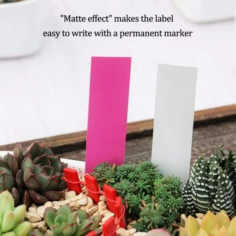 LangRay 500 Pcs Étiquettes De Graine De Fleur De Plante En Plastique Imperméable Réutilisable En Plastique Marquent Des Étiquettes De Jardin Outils De Décoration, Colorées 6 LangRay 500 Pcs Étiquettes De Graine De Fleur De Plante En Plastique Imperméable Réutilisable En Plastique Marquent Des Étiquettes De Jardin Outils De Décoration, Colorées – Image 4