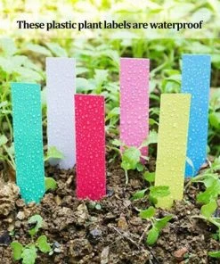 LangRay 500 Pcs Étiquettes De Graine De Fleur De Plante En Plastique Imperméable Réutilisable En Plastique Marquent Des Étiquettes De Jardin Outils De Décoration, Colorées 11 LangRay 500 Pcs Étiquettes De Graine De Fleur De Plante En Plastique Imperméable Réutilisable En Plastique Marquent Des Étiquettes De Jardin Outils De Décoration, Colorées -Accessoire de culture Soldes Boutique 33189622 5