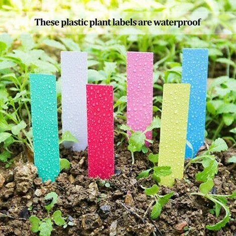 LangRay 500 Pcs Étiquettes De Graine De Fleur De Plante En Plastique Imperméable Réutilisable En Plastique Marquent Des Étiquettes De Jardin Outils De Décoration, Colorées 7 LangRay 500 Pcs Étiquettes De Graine De Fleur De Plante En Plastique Imperméable Réutilisable En Plastique Marquent Des Étiquettes De Jardin Outils De Décoration, Colorées – Image 5