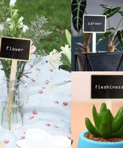 Kueatily 30pcs Etiquettes De Plantes En Ardoise Mini Tableau Noir Marqueur De Jardin Plante Signe Tags En Bois étiquettes Potager Pour Fleur Légumes Graine Jardin Pépinière -Accessoire de culture Soldes Boutique 33302240 3