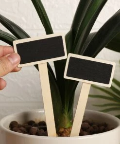 BETTERLIFE Étiquettes Potager, Mini Tableau En Bois Étiquettes Pour Plantes Pour Pot De Fleur Graine En Pot Herbes Légumes 20Pcs -Accessoire de culture Soldes Boutique 33436164 3