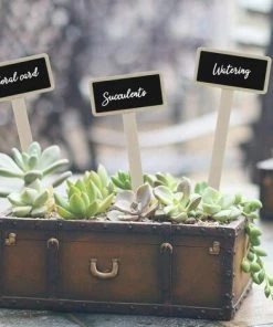 BETTERLIFE Étiquettes Potager, Mini Tableau En Bois Étiquettes Pour Plantes Pour Pot De Fleur Graine En Pot Herbes Légumes 20Pcs -Accessoire de culture Soldes Boutique 33436164 5