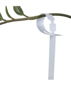BETTERLIFE 200 Étiquettes En Plastique Blanches Pour Plantes Et Arbres Pour Accrocher 2 X 20 Cm Avec Grande Surface D'écriture Blanc 10 BETTERLIFE 200 Étiquettes En Plastique Blanches Pour Plantes Et Arbres Pour Accrocher 2 X 20 Cm Avec Grande Surface D'écriture Blanc -Accessoire de culture Soldes Boutique 33436169 4