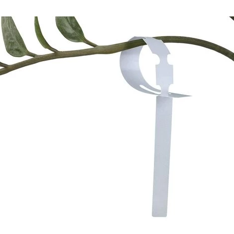 BETTERLIFE 200 Étiquettes En Plastique Blanches Pour Plantes Et Arbres Pour Accrocher 2 X 20 Cm Avec Grande Surface D'écriture Blanc 6 BETTERLIFE 200 Étiquettes En Plastique Blanches Pour Plantes Et Arbres Pour Accrocher 2 X 20 Cm Avec Grande Surface D'écriture Blanc – Image 4