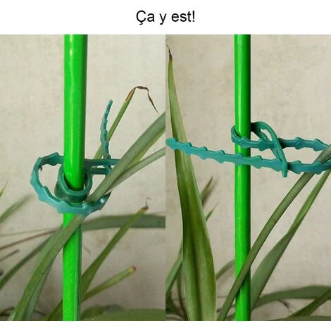 BETTERLIFE 100 Pcs Accroche-Tuteurs Pour Tomates Arbres Tuteurs De Plantes Attache Et Soutien Réglable Pour Plantes Serre-câble Lien En Plastique Pour Jardinage Bricolage 23CM 7 BETTERLIFE 100 Pcs Accroche-Tuteurs Pour Tomates Arbres Tuteurs De Plantes Attache Et Soutien Réglable Pour Plantes Serre-câble Lien En Plastique Pour Jardinage Bricolage 23CM – Image 5