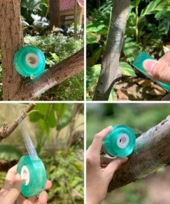 BETTERLIFE Greffage Ruban, 3 Pièces 100M Rubans De Greffage, Pepiniere Greffage Ruban Etirable Auto Adhesive Biodegradables, Greffe Ruban Adhésif Sans Danger Et Respectueux De L'environnement (Vert) -Accessoire de culture Soldes Boutique 33436186 5