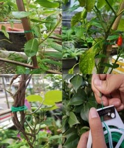 MERKMAK Cravate De Jardin Avec Sac De Protection Ligne De Reliure De Fil En Plastique Plantes Grimpantes Cable Fleur Concombre Raisin Support En Rotin 30M -Accessoire de culture Soldes Boutique 33597822 3