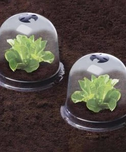 TERRE JARDIN Cloches à Salades Plastique - Lot De 6 -Accessoire de culture Soldes Boutique 3366560 5