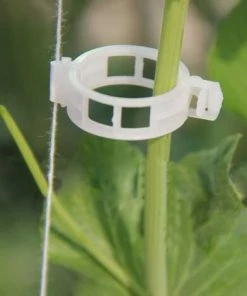 AIDUCHO 100pcs Collier Lien Pour Ligature Clips De Fixation Pour Tomates Vigne De Poivre Concombre 9 AIDUCHO 100pcs Collier Lien Pour Ligature Clips De Fixation Pour Tomates Vigne De Poivre Concombre -Accessoire de culture Soldes Boutique 33916960 3