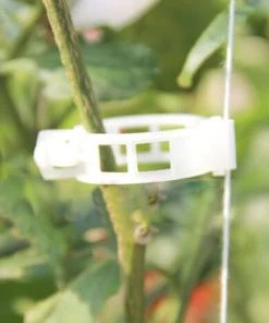 AIDUCHO 100pcs Collier Lien Pour Ligature Clips De Fixation Pour Tomates Vigne De Poivre Concombre 10 AIDUCHO 100pcs Collier Lien Pour Ligature Clips De Fixation Pour Tomates Vigne De Poivre Concombre -Accessoire de culture Soldes Boutique 33916960 4