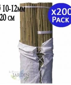 SUINGA Tutoriel Bambou Naturel 120 Cm, Diamètre 10-12 Mm.