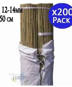 SUINGA Pack 200 X Tuteurs En Bambou 150 Cm, Diamètre 12-14 Mm. Utilisation Agricole Pour Fixer Des Arbres, Des Plantes Et Des Légumes