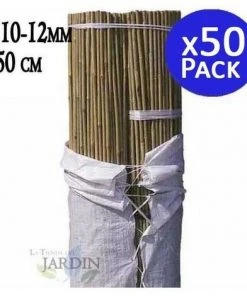 SUINGA Pack 50 X Tuteurs En Bambou 150 Cm, Diamètre 10-12 Mm. Utilisation Agricole Pour Fixer Des Arbres, Des Plantes Et Des Légumes