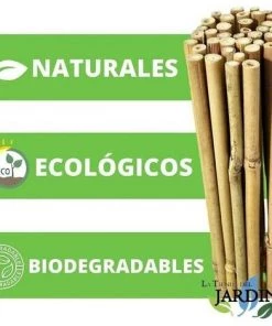 SUINGA Pack 50 X Tuteurs En Bambou 150 Cm, Diamètre 10-12 Mm. Utilisation Agricole Pour Fixer Des Arbres, Des Plantes Et Des Légumes -Accessoire de culture Soldes Boutique 35228743 3