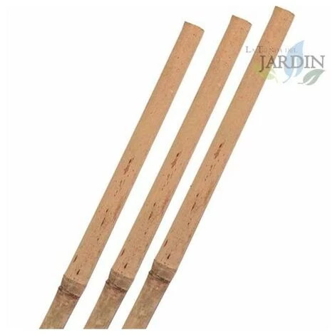 SUINGA Pack 25 X Tuteurs En Bambou 180 Cm, Diamètre 12-14 Mm. Utilisation Agricole Pour Fixer Des Arbres, Des Plantes Et Des Légumes 5 SUINGA Pack 25 X Tuteurs En Bambou 180 Cm, Diamètre 12-14 Mm. Utilisation Agricole Pour Fixer Des Arbres, Des Plantes Et Des Légumes – Image 3