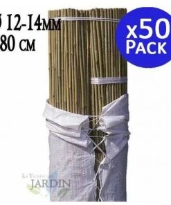 SUINGA Pack 50 X Tuteurs En Bambou 180 Cm, Diamètre 12-14 Mm. Utilisation Agricole Pour Fixer Des Arbres, Des Plantes Et Des Légumes