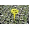 NORTENE étiquettes Planter 15cm /10 -Accessoire de culture Soldes Boutique 35237679 1