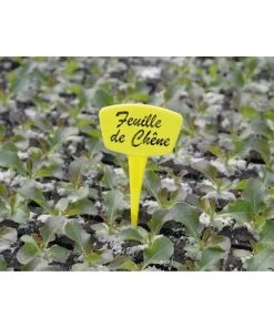 NORTENE étiquettes Planter 15cm /10