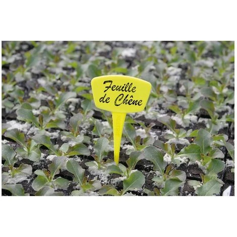 NORTENE étiquettes Planter 15cm /10 3 NORTENE étiquettes Planter 15cm /10