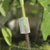 Plantawa Clip De Greffage Transparent Pour Tomate Poivron Et Aubergine Ø2'2 - 16mm Sac De 100 Unités Haute Qualité 1 Plantawa Clip De Greffage Transparent Pour Tomate Poivron Et Aubergine Ø2'2 - 16mm Sac De 100 Unités Haute Qualité -Accessoire de culture Soldes Boutique 35417503 1