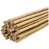 Plantawa Pack 25 Unités Tuteur Bambou Naturel 90cm Pour Supporter Plantes
