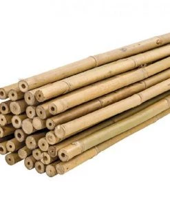 Plantawa Pack 25 Unités Tuteur Bambou Naturel 90cm Pour Supporter Plantes