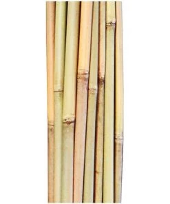 Plantawa Pack 25 Unités Tuteur Bambou Naturel 90cm Pour Supporter Plantes -Accessoire de culture Soldes Boutique 35417731 3