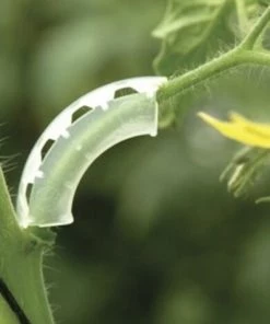 Plantawa Arceaux Flexible Pour Support De Bouquet 6mm Vert Sac De 100 Unités Haute Qualité Et Résistance