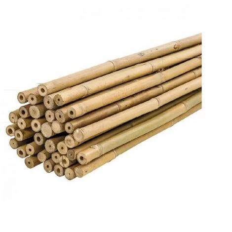 Plantawa Pack 50 Unités Tuteurs Bambou Naturel 60cm Pour Supporter Plantes 3 Plantawa Pack 50 Unités Tuteurs Bambou Naturel 60cm Pour Supporter Plantes