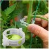 Plantawa Clip Tuteur Pour Soutien Et Attache De Tomate En Plantations Plein Air Ou Serres Sac De 5.000 Unités Haute Qualité -Accessoire de culture Soldes Boutique 35420049 1