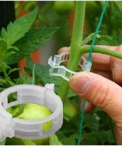 Plantawa Clip Tuteur Pour Soutien Et Attache De Tomate En Plantations Plein Air Ou Serres Sac De 5.000 Unités Haute Qualité
