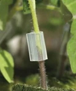 Plantawa Clip De Greffage Transparent Pour Tomate Poivron Et Aubergine Ø2'5 - 16mm Sac De 100 Unités Haute Qualité