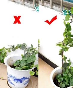 AIDUCHO Attaches De Jardin Pour Plantes Cravates En Fil De Plantes Lien De Soutien De Plante Multifonctionnel Avec Coupe Pour Organisation De Jardinage à Domicile 2 Rouleaux 100m (Vert) -Accessoire de culture Soldes Boutique 35477630 3