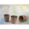 NATURE Lot De 96 Pots En Tourbe Ronds H6 X Diam 6 Cm - 24 X 4 -Accessoire de culture Soldes Boutique 3554430 1
