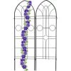 Relaxdays Treillis De Jardin, Métal, Lot De 2, Espalier Plantes Grimpantes, à Planter, Clôture, 184 X 54 Cm, Noir