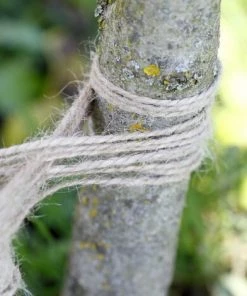 Centrale Brico Pelote 100g En Jute LA CORDELINE, Diam.2 Mm, L.75 M -Accessoire de culture Soldes Boutique 36526298 2