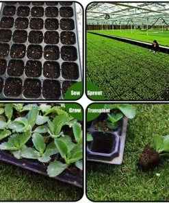 BEARSU Paquet De 10 Kits De Démarrage De Semences, 72 Plateaux De Semis De Cellules Plateau En Plastique De Germination De Jardinage Pots De Pépinière Kit De Culture De Mini Propagateur De Plantes Plateau De Prise Plateaux De Démarrage Pour La Germination Des Se 11 BEARSU Paquet De 10 Kits De Démarrage De Semences, 72 Plateaux De Semis De Cellules Plateau En Plastique De Germination De Jardinage Pots De Pépinière Kit De Culture De Mini Propagateur De Plantes Plateau De Prise Plateaux De Démarrage Pour La Germination Des Se -Accessoire de culture Soldes Boutique 36578982 5