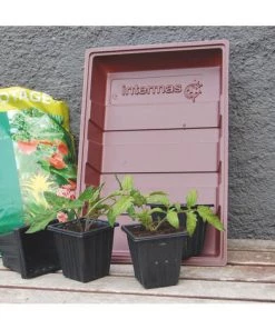 Nortene 7 Pots Pour Semis NORTENE