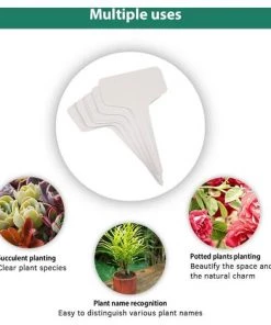 BETTERLIFE 100 Pieces Blanc Marqueurs En Plastique De Plantes Type T, Balises Durables De Marqueurs De Jardin Imperméables étiquettes De Semis 11 BETTERLIFE 100 Pieces Blanc Marqueurs En Plastique De Plantes Type T, Balises Durables De Marqueurs De Jardin Imperméables étiquettes De Semis -Accessoire de culture Soldes Boutique 37661233 5