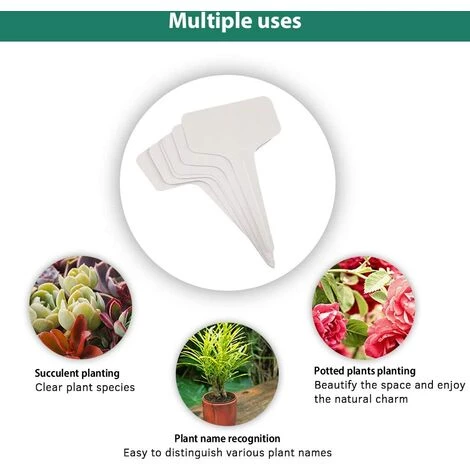 BETTERLIFE 100 Pieces Blanc Marqueurs En Plastique De Plantes Type T, Balises Durables De Marqueurs De Jardin Imperméables étiquettes De Semis 7 BETTERLIFE 100 Pieces Blanc Marqueurs En Plastique De Plantes Type T, Balises Durables De Marqueurs De Jardin Imperméables étiquettes De Semis – Image 5