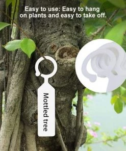 BARES 100pcs Étiquettes Marque Plantes Plastique Arbre De La Plante Imperméable Tags Jardin En Plastique épais étiquettes Suspendues Étiquettes De Plantes De Fleurs(blanc ) -Accessoire de culture Soldes Boutique 39123224 4