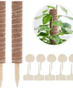LEMECIMA 2x Bâtons De Plantes En Noix De Coco, Avec 10 étiquettes De Plantes En Bambou (6 X 10 Cm), Aide à L'escalade En Fibre De Noix De Coco Naturelle