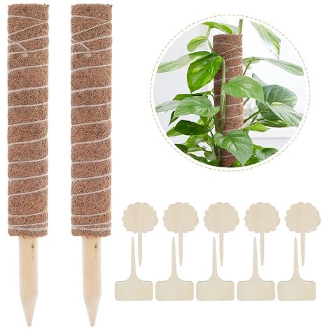 LEMECIMA 2x Bâtons De Plantes En Noix De Coco, Avec 10 étiquettes De Plantes En Bambou (6 X 10 Cm), Aide à L'escalade En Fibre De Noix De Coco Naturelle 3 LEMECIMA 2x Bâtons De Plantes En Noix De Coco, Avec 10 étiquettes De Plantes En Bambou (6 X 10 Cm), Aide à L'escalade En Fibre De Noix De Coco Naturelle