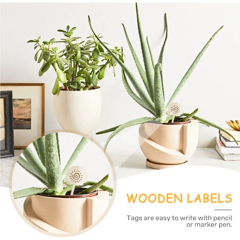 LEMECIMA 2x Bâtons De Plantes En Noix De Coco, Avec 10 étiquettes De Plantes En Bambou (6 X 10 Cm), Aide à L'escalade En Fibre De Noix De Coco Naturelle 4 LEMECIMA 2x Bâtons De Plantes En Noix De Coco, Avec 10 étiquettes De Plantes En Bambou (6 X 10 Cm), Aide à L'escalade En Fibre De Noix De Coco Naturelle – Image 2