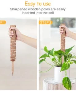 LEMECIMA 2x Bâtons De Plantes En Noix De Coco, Avec 10 étiquettes De Plantes En Bambou (6 X 10 Cm), Aide à L'escalade En Fibre De Noix De Coco Naturelle 8 LEMECIMA 2x Bâtons De Plantes En Noix De Coco, Avec 10 étiquettes De Plantes En Bambou (6 X 10 Cm), Aide à L'escalade En Fibre De Noix De Coco Naturelle -Accessoire de culture Soldes Boutique 40298403 3